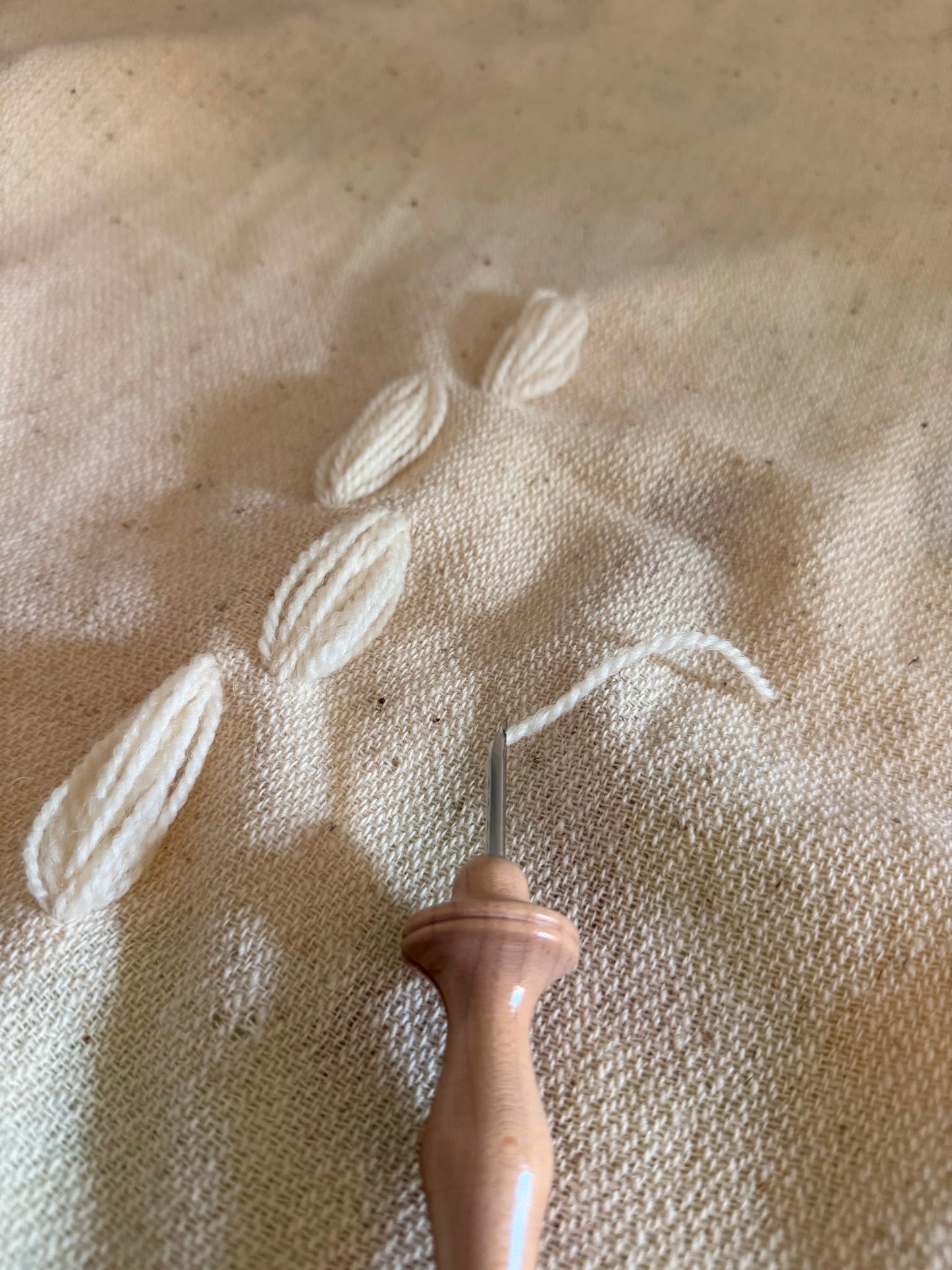 Seed